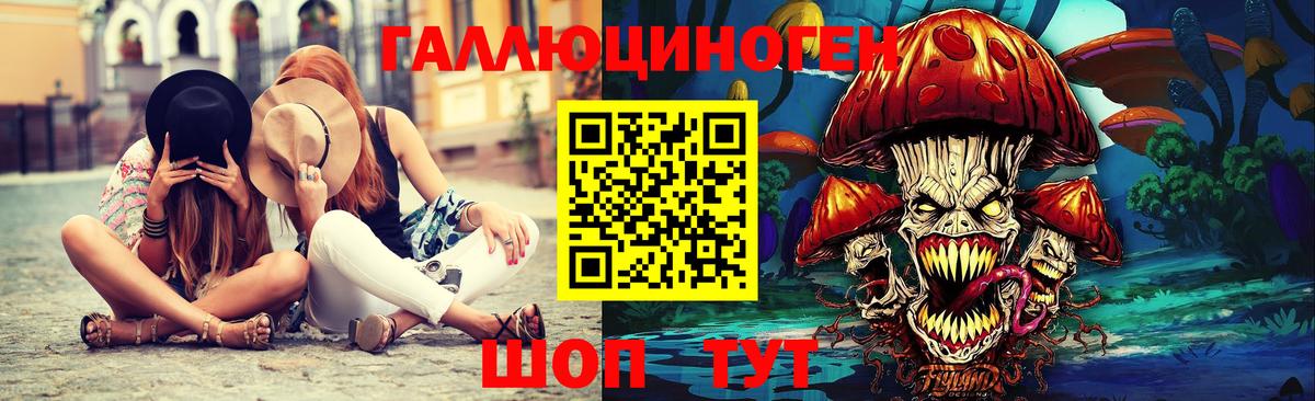 Камышин  Псилоцибиновые грибы прущие грибы  Галлюциногенные грибы Cubensis  Вход с VPN 